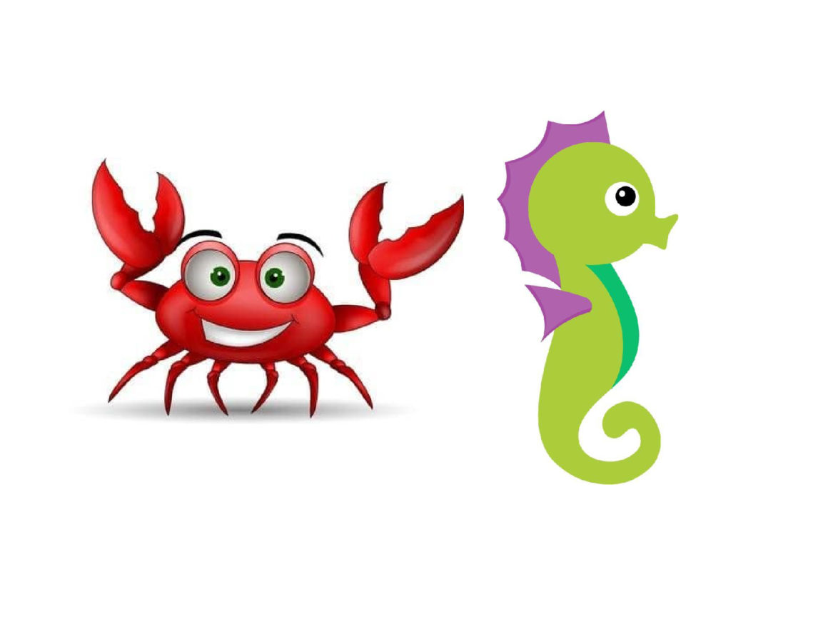 Krappie & Seeperdjie classes